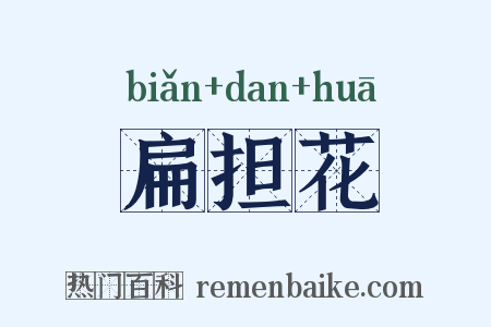 扁担花是什么意思的图片
